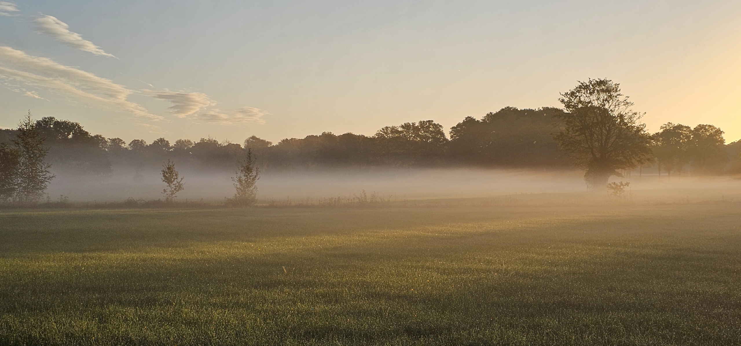 Bild "Erste Morgensonne"
